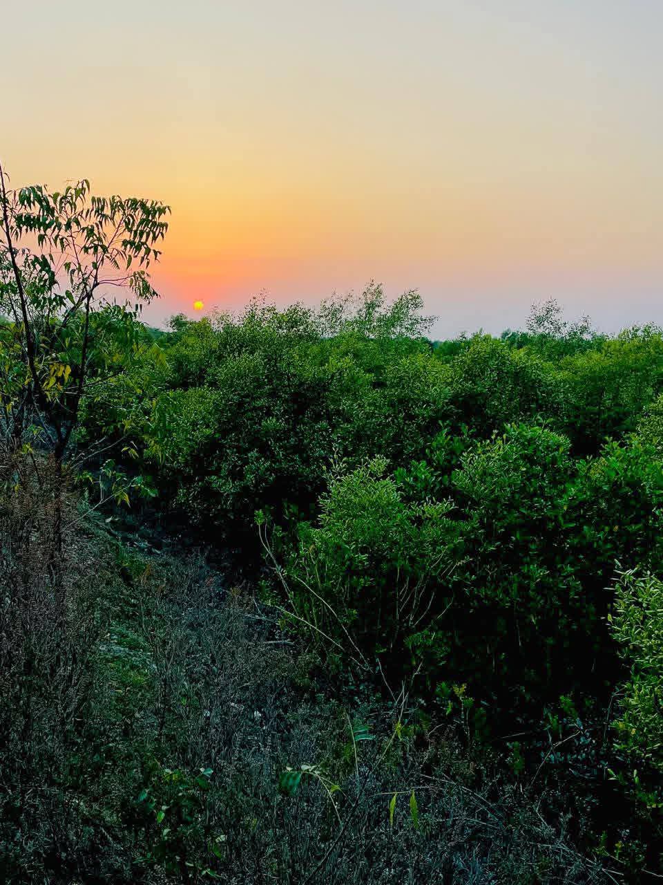 Bakkhali Travel Guide: West Bengal’s Serene White Sand&nbsp;Escape