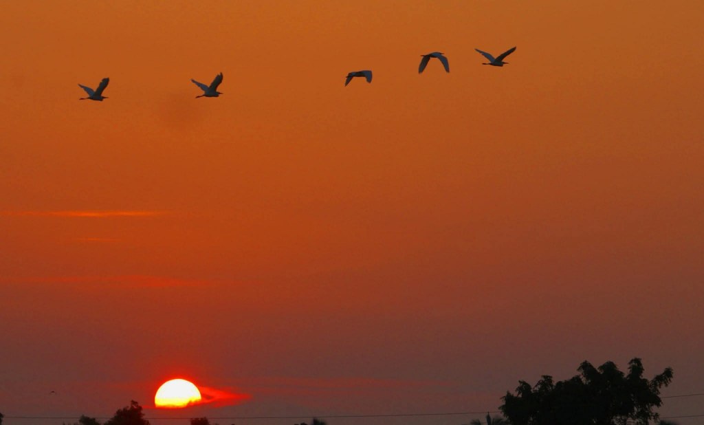 Golden Hour in Sundarbans: Capturing the Magic of Sunsets Over the&nbsp;Mangroves