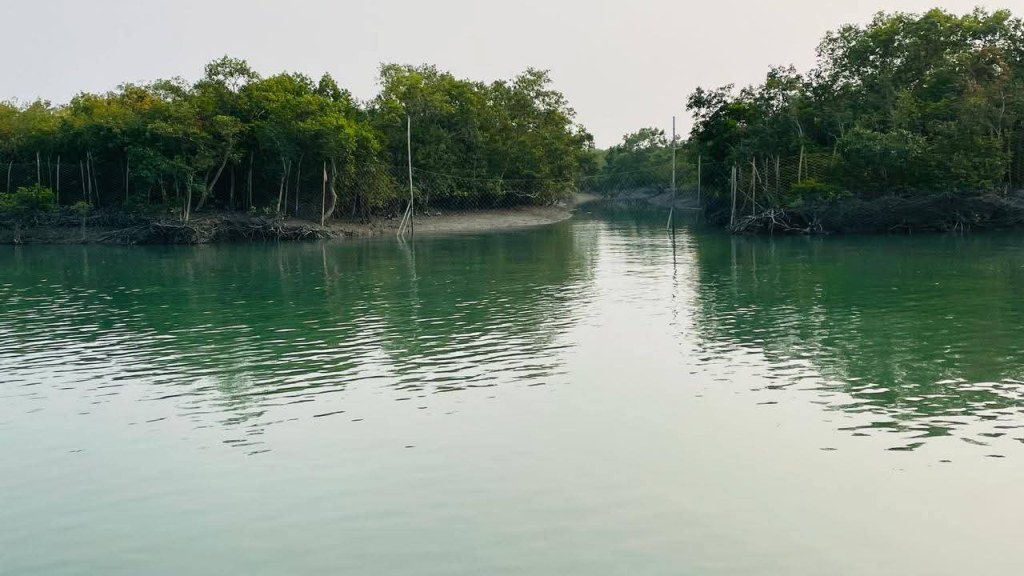 Sundarbans Travel Guide : A Complete A-Z Itinerary from Costs to&nbsp;Mysteries