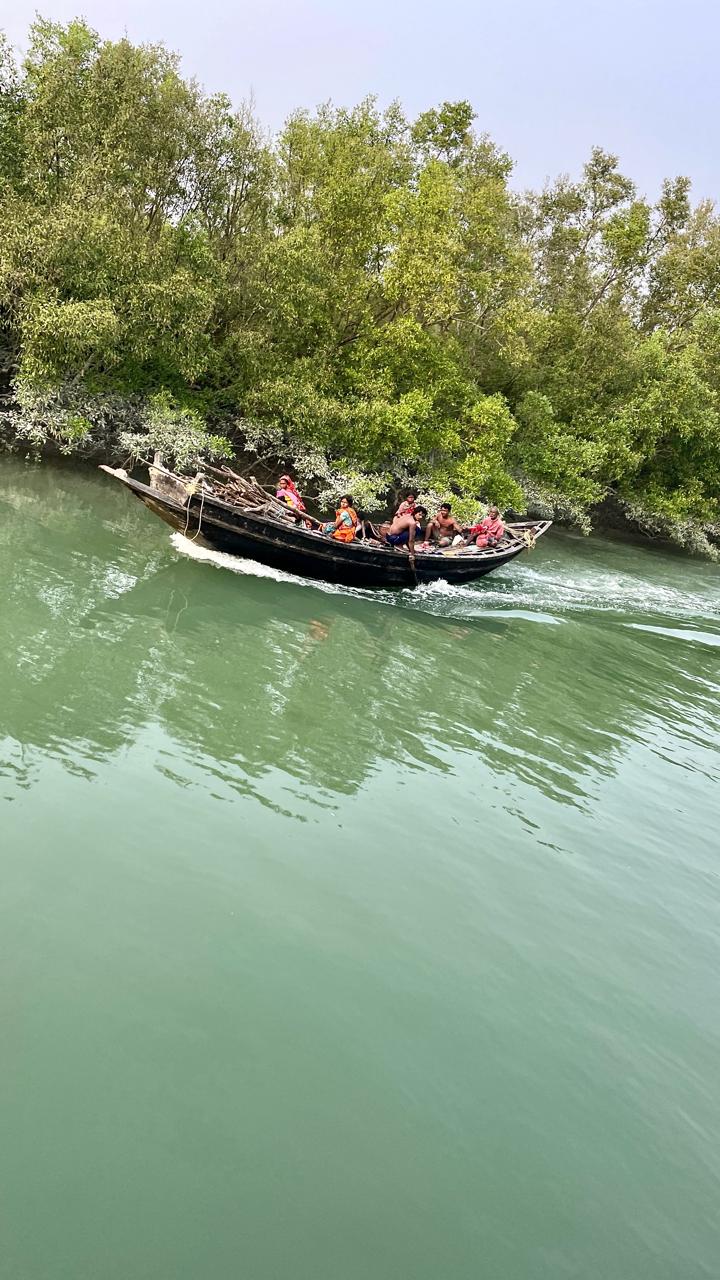 Exploring the Enigmatic Beauty of Sundarbans: A Visual Journey by Samsuddin&nbsp;Sk.