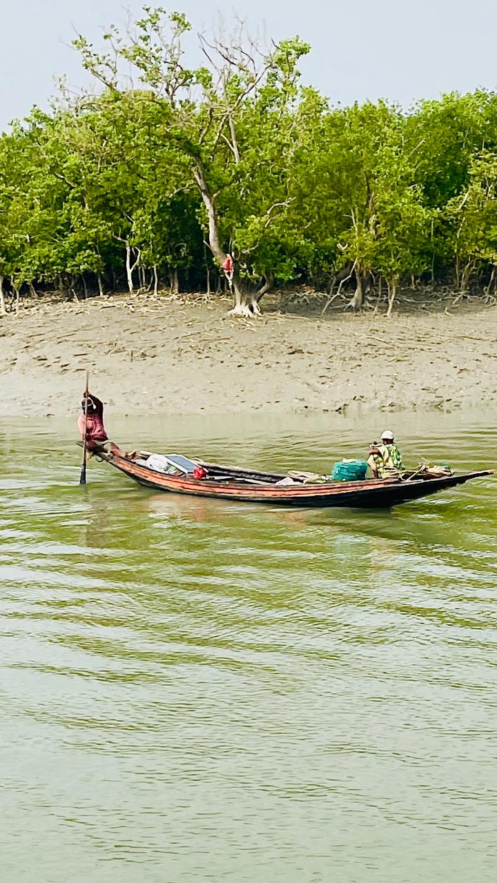 Breaking the Salty&nbsp;Bond